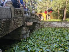 -无锡惠山寺