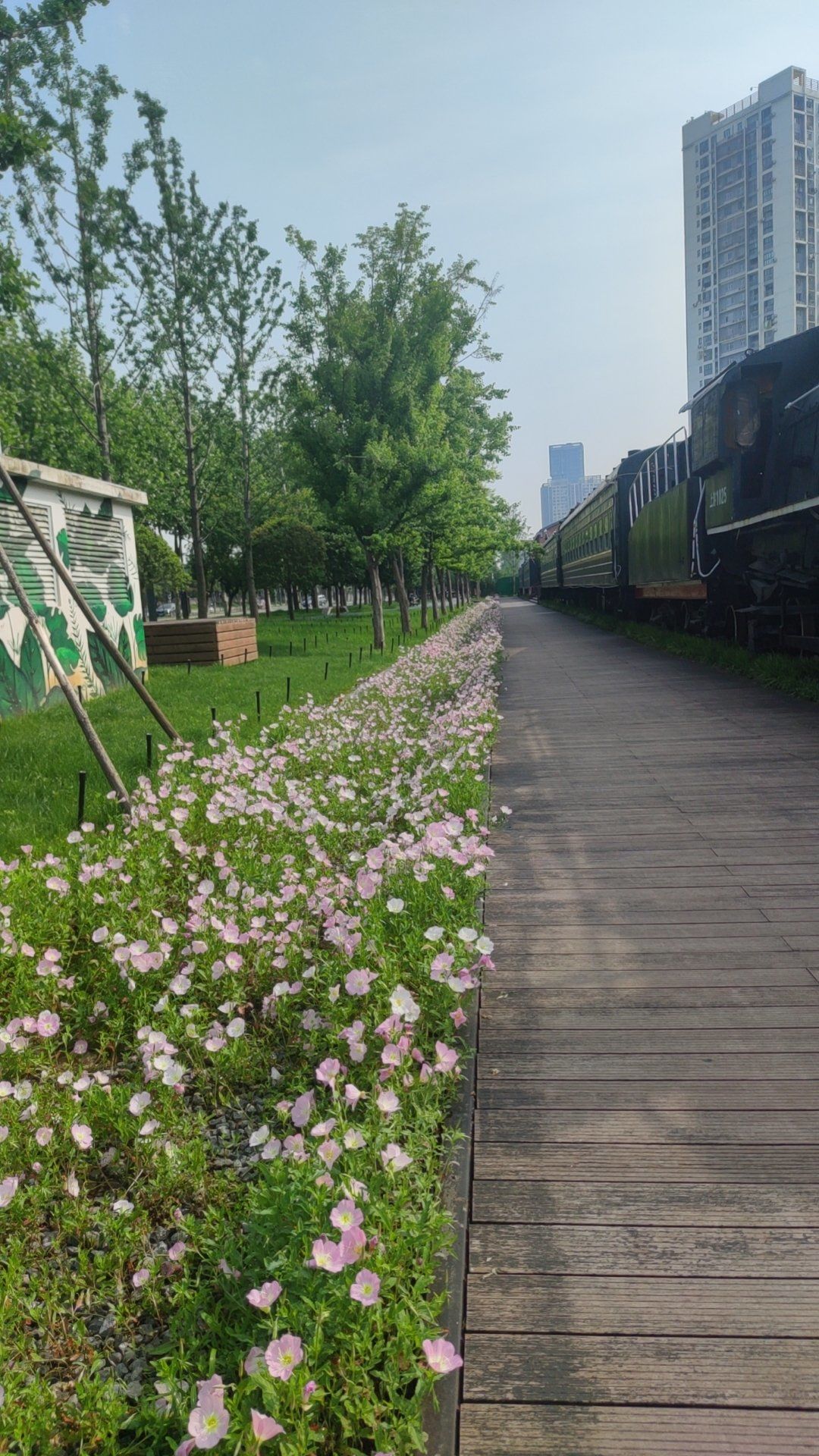 武汉四美塘公园太美了吧