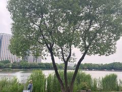 -南翔镇银翔湖公园