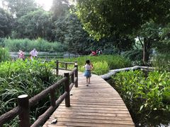 -成都市活水公园