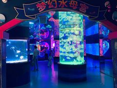 -左海海底世界