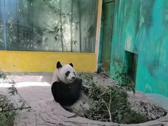 -杭州野生动物世界