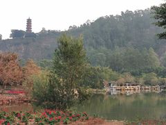 -南沙蒲洲花园