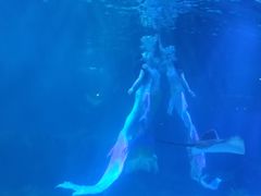 -石家庄海洋公园