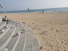 -海云台海滩