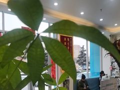 -德元·美联众合24小时动物医院(总院)