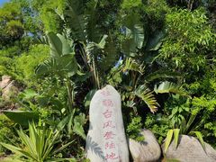 -广东惠东海龟国家级自然保护区