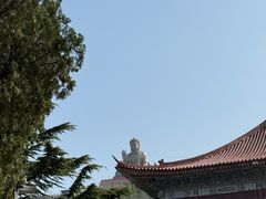 -龙口南山旅游景区