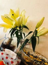 -唯伊美塑身美养连锁