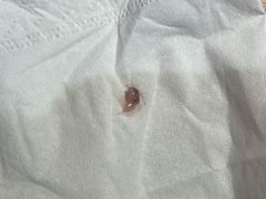 -季季红火锅(长沙步行街店)