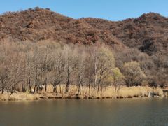 -玉渡山自然风景区