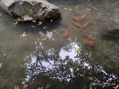 -雁荡山三折瀑景区