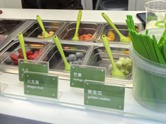 -Salud撒露欧洲冻酸奶(蓝色港湾店)