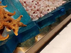 -新艺自助美食城(中山路店)