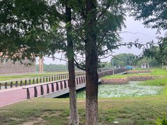 -滆湖低碳生态公园