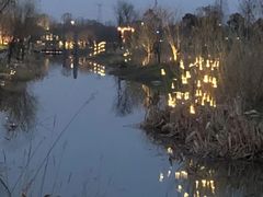 -长田漾湿地公园