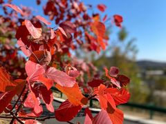 -白水寺森林公园