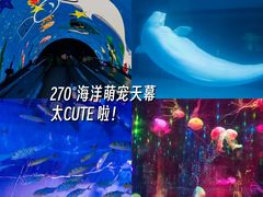 -正佳极地海洋世界