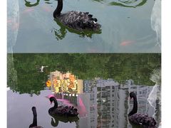 -徐家汇公园