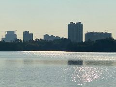 -海珠湖公园