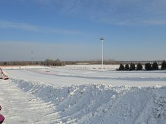 -呼兰河口湿地公园