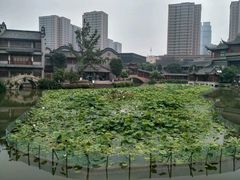 -龙潭水乡