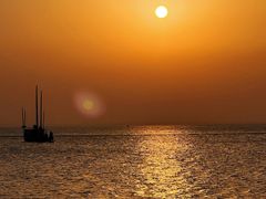 -贡湖湾湿地公园