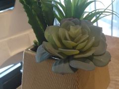 -顶好快餐(市府店)