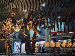 -国家自然博物馆