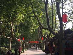 -杭州黄龙洞
