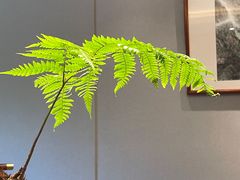 -龙吟九品(青龙山庄店)