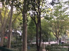 -西安市长乐公园