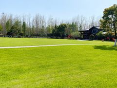 -合肥滨湖国家森林公园