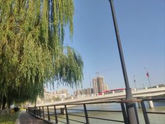 -成都南湖公园