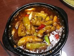 -草根堂农场