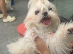 -宠物家(大兴旧宫店)