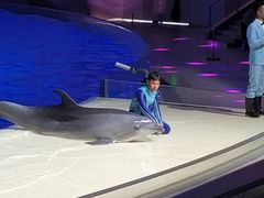-上海海昌海洋公园-停车场