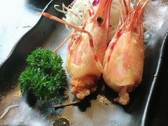 -春草居酒屋·晴子の店