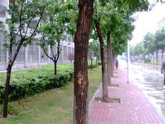 宿舍区-河南财经政法大学(郑东校区)