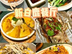 -新白鹿餐厅(西湖银泰店)