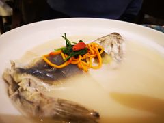 东坡河豚-肆月河豚·新淮扬(金融街店)