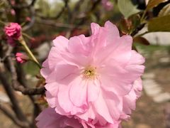 -南京金牛湖风景区