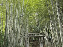 -杭州黄龙洞