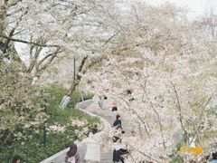 -杭州少年儿童公园