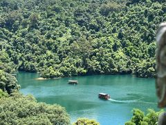 -鼎湖山风景区