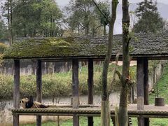 -碧峰峡风景区