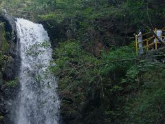-马峦山郊野公园