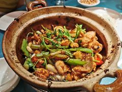 沙姜嗜鸡-煲煲好(朝阳门店)