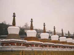 -塔尔寺