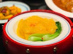 藏红花扒广肚-阿五黄河大鲤鱼(英协路店)